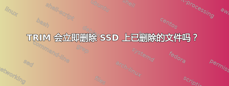 TRIM 会立即删除 SSD 上已删除的文件吗？