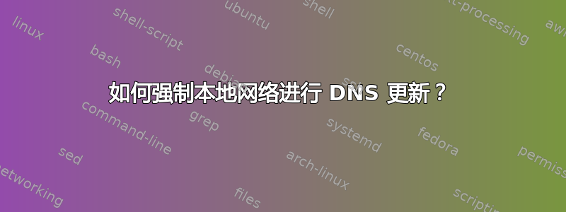 如何强制本地网络进行 DNS 更新？