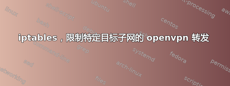 iptables，限制特定目标子网的 openvpn 转发