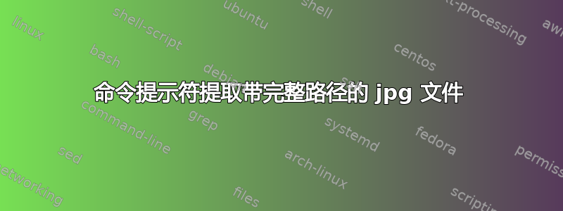 命令提示符提取带完整路径的 jpg 文件