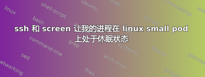 ssh 和 screen 让我的进程在 linux small pod 上处于休眠状态