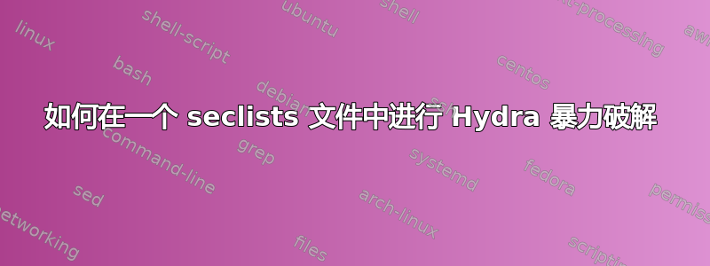 如何在一个 seclists 文件中进行 Hydra 暴力破解