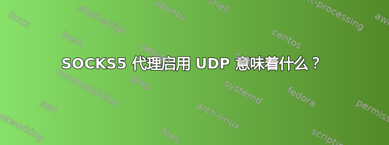 SOCKS5 代理启用 UDP 意味着什么？