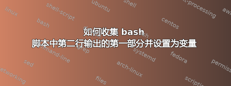 如何收集 bash 脚本中第二行输出的第一部分并设置为变量