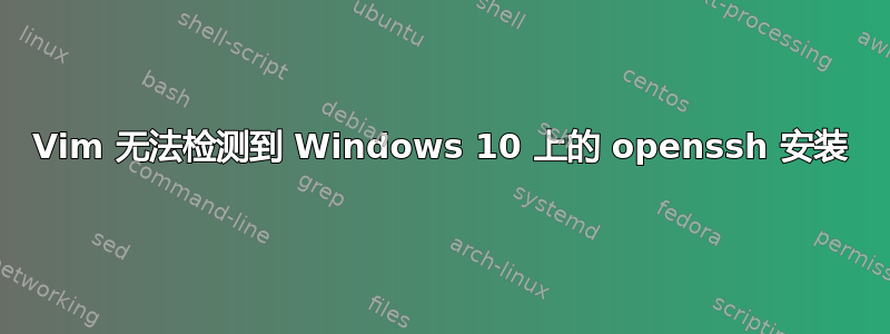 Vim 无法检测到 Windows 10 上的 openssh 安装