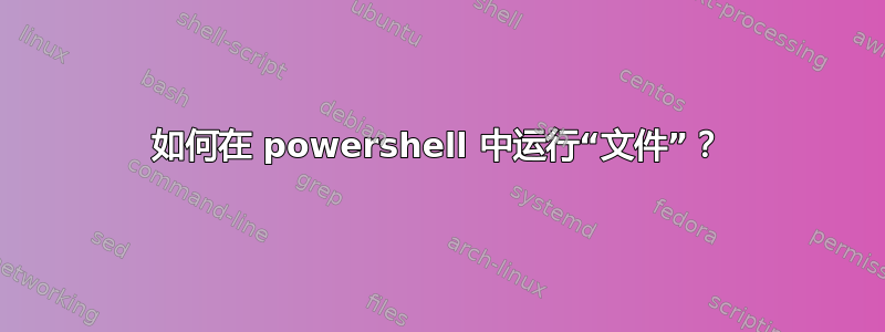 如何在 powershell 中运行“文件”？