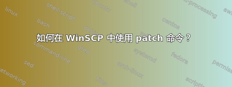 如何在 WinSCP 中使用 patch 命令？