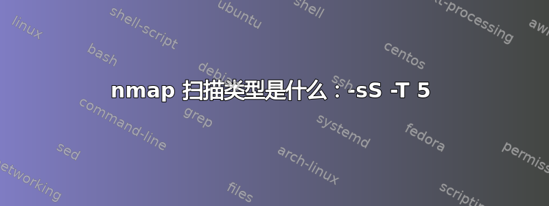 nmap 扫描类型是什么：-sS -T 5