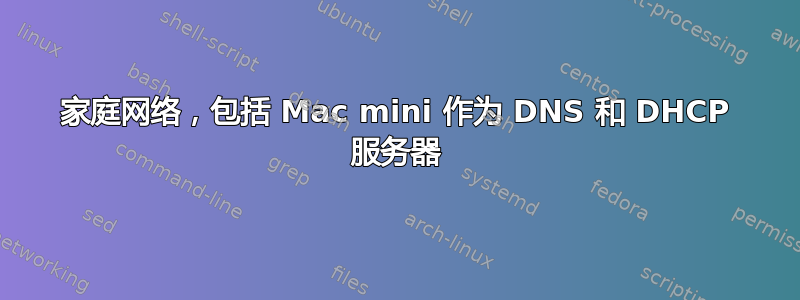 家庭网络，包括 Mac mini 作为 DNS 和 DHCP 服务器