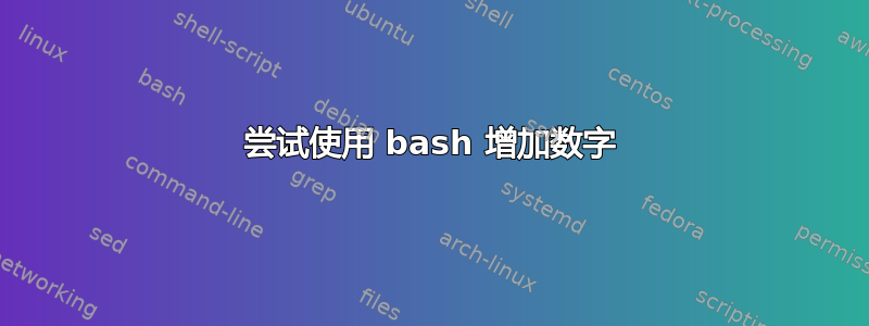 尝试使用 bash 增加数字