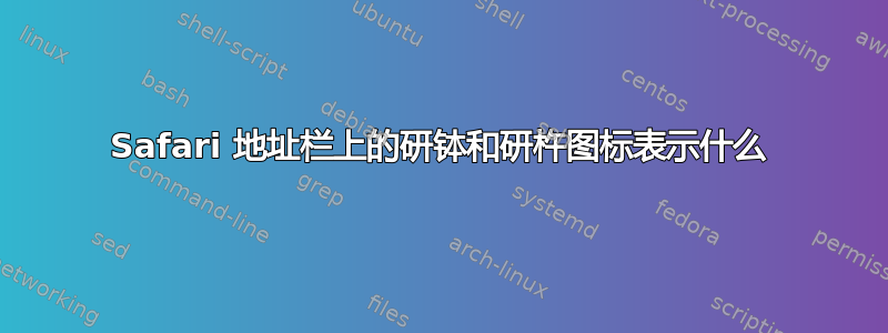 Safari 地址栏上的研钵和研杵图标表示什么