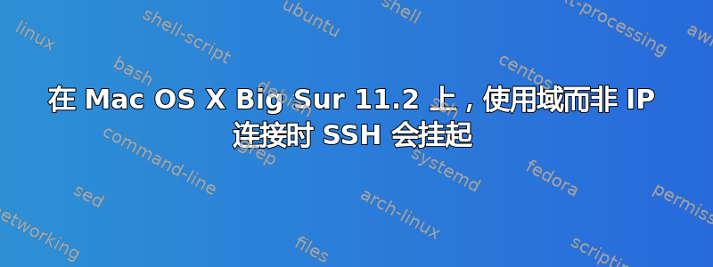 在 Mac OS X Big Sur 11.2 上，使用域而非 IP 连接时 SSH 会挂起