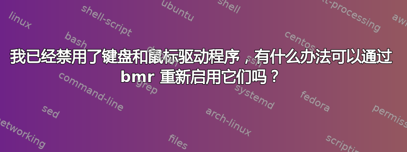 我已经禁用了键盘和鼠标驱动程序，有什么办法可以通过 bmr 重新启用它们吗？