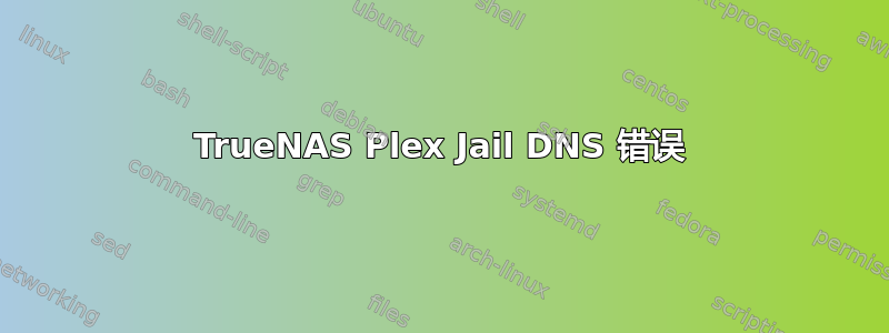 TrueNAS Plex Jail DNS 错误