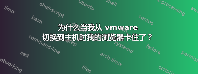 为什么当我从 vmware 切换到主机时我的浏览器卡住了？