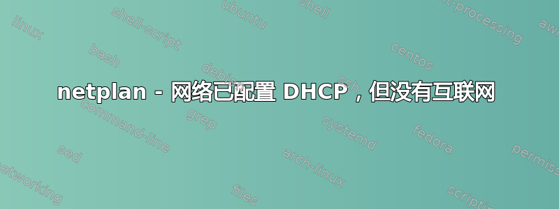 netplan - 网络已配置 DHCP，但没有互联网