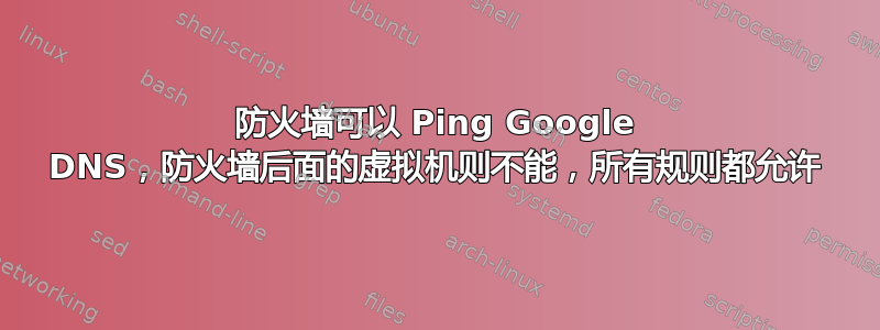 防火墙可以 Ping Google DNS，防火墙后面的虚拟机则不能，所有规则都允许