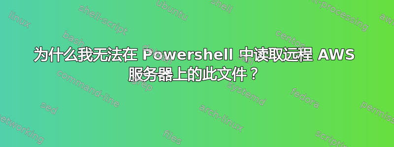 为什么我无法在 Powershell 中读取远程 AWS 服务器上的此文件？