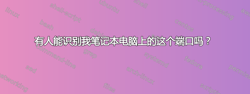 有人能识别我笔记本电脑上的这个端口吗？