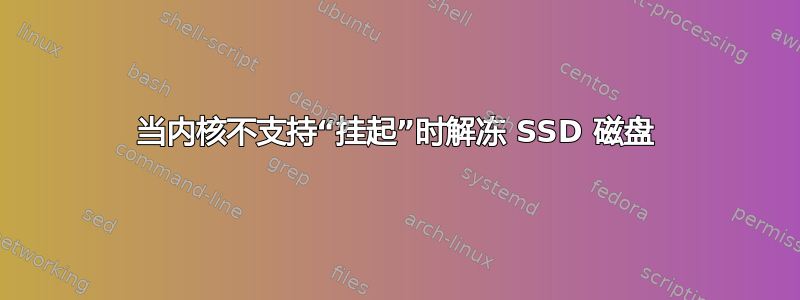 当内核不支持“挂起”时解冻 SSD 磁盘