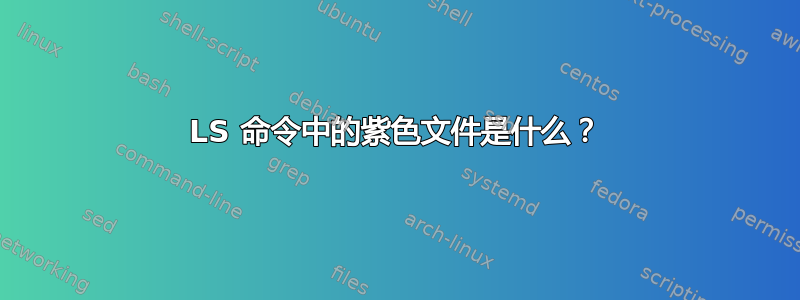 LS 命令中的紫色文件是什么？