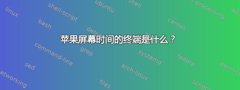 苹果屏幕时间的终端是什么？