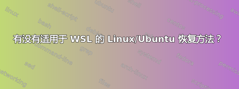 有没有适用于 WSL 的 Linux/Ubuntu 恢复方法？