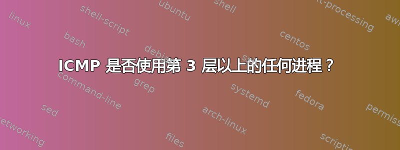 ICMP 是否使用第 3 层以上的任何进程？