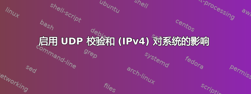 启用 UDP 校验和 (IPv4) 对系统的影响