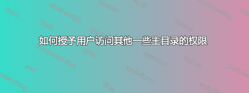 如何授予用户访问其他一些主目录的权限