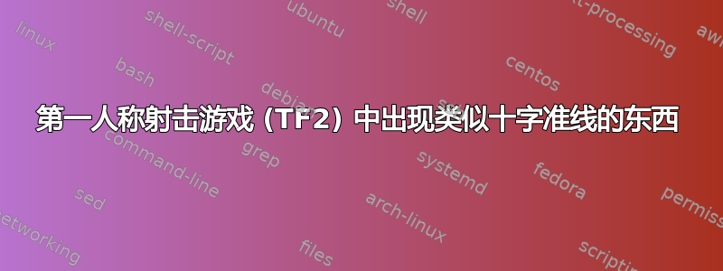 第一人称射击游戏 (TF2) 中出现类似十字准线的东西