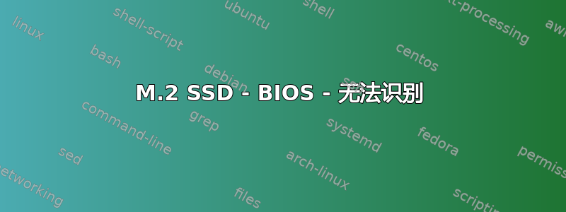 M.2 SSD - BIOS - 无法识别