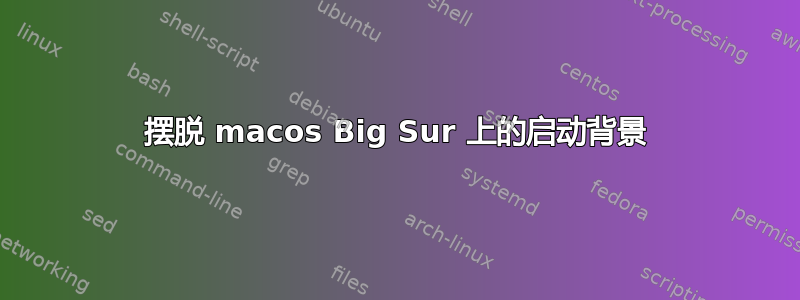 摆脱 macos Big Sur 上的启动背景