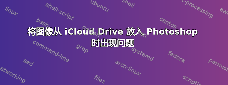 将图像从 iCloud Drive 放入 Photoshop 时出现问题