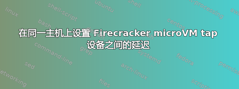 在同一主机上设置 Firecracker microVM tap 设备之间的延迟