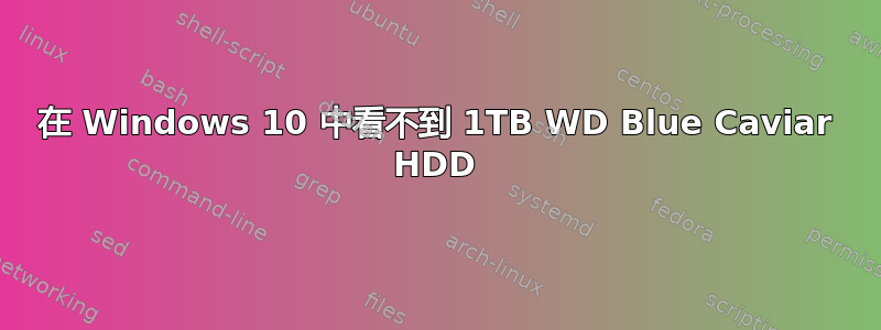 在 Windows 10 中看不到 1TB WD Blue Caviar HDD