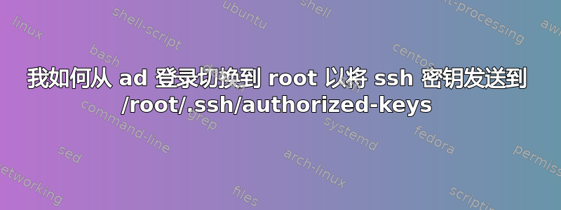 我如何从 ad 登录切换到 root 以将 ssh 密钥发送到 /root/.ssh/authorized-keys