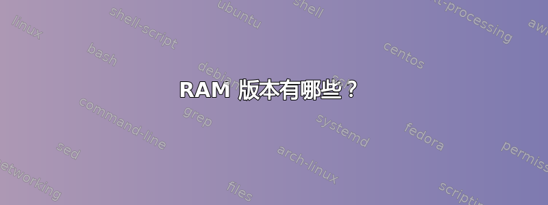 RAM 版本有哪些？