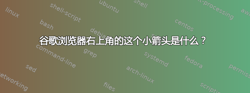 谷歌浏览器右上角的这个小箭头是什么？