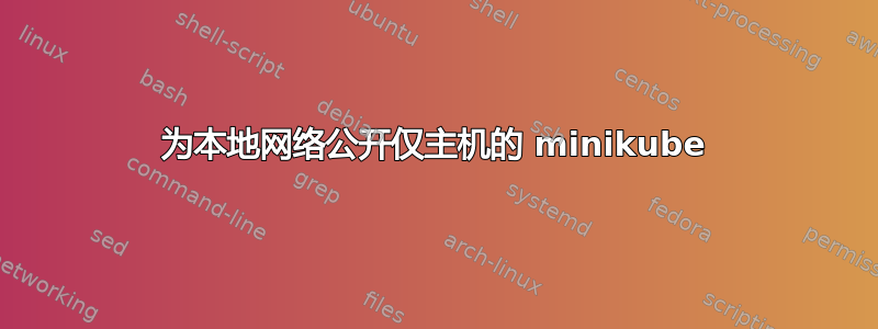 为本地网络公开仅主机的 minikube