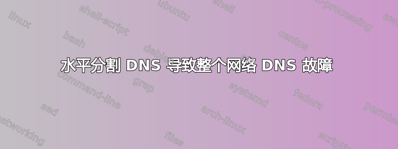 水平分割 DNS 导致整个网络 DNS 故障