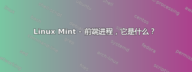 Linux Mint - 前端进程，它是什么？