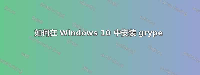 如何在 Windows 10 中安装 grype