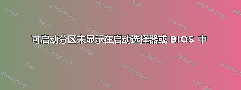 可启动分区未显示在启动选择器或 BIOS 中