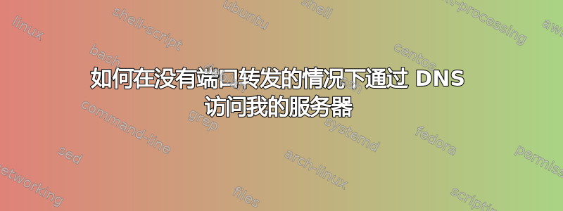 如何在没有端口转发的情况下通过 DNS 访问我的服务器