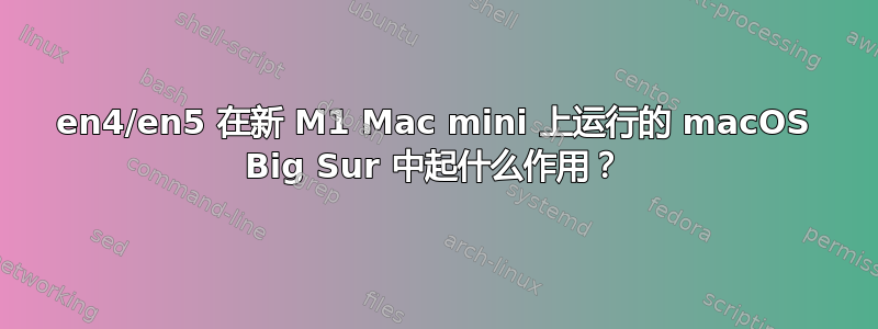 en4/en5 在新 M1 Mac mini 上运行的 macOS Big Sur 中起什么作用？