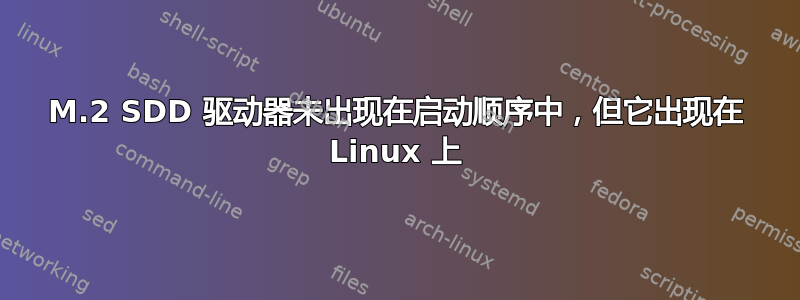 M.2 SDD 驱动器未出现在启动顺序中，但它出现在 Linux 上