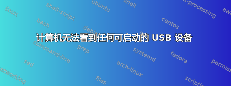 计算机无法看到任何可启动的 USB 设备