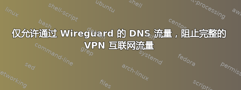 仅允许通过 Wireguard 的 DNS 流量，阻止完整的 VPN 互联网流量