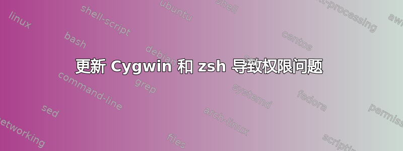 更新 Cygwin 和 zsh 导致权限问题